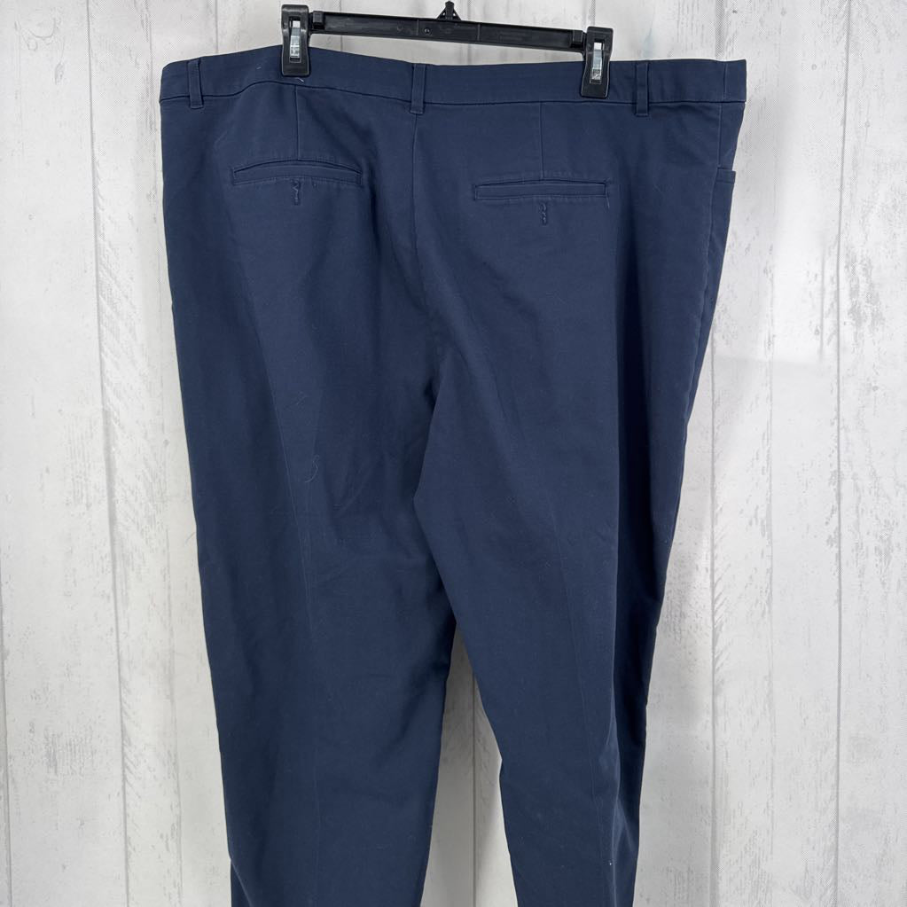 22w twill pants