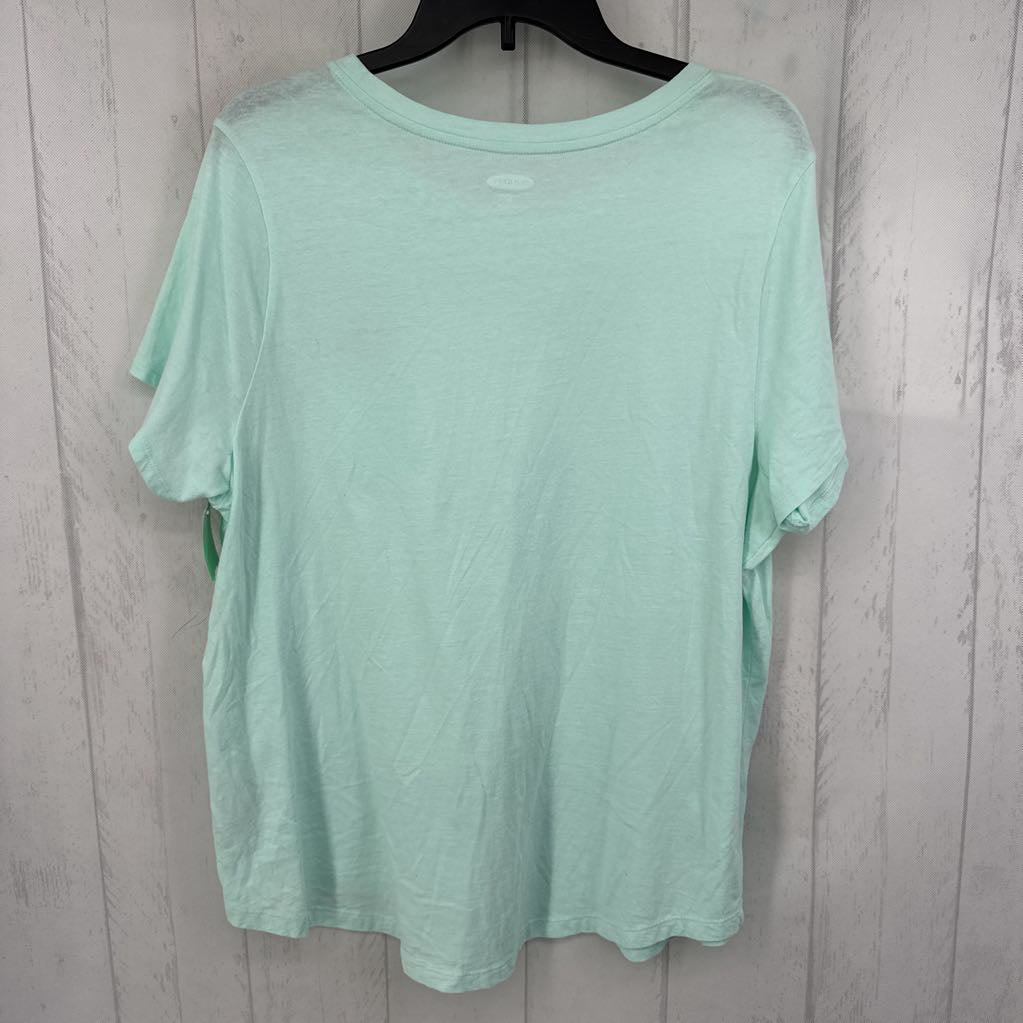 XL flamingo floatie s/s tee