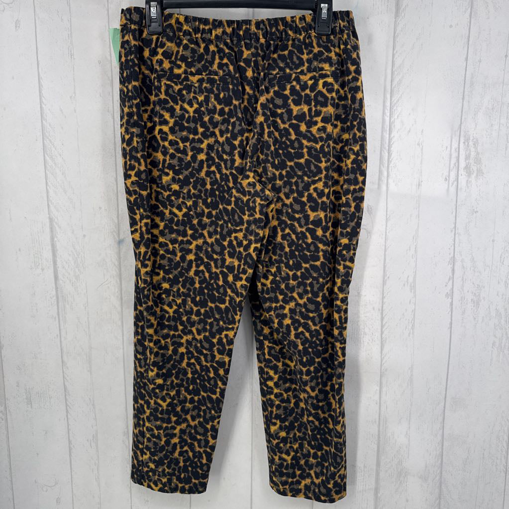 12 animal print pull-on pant
