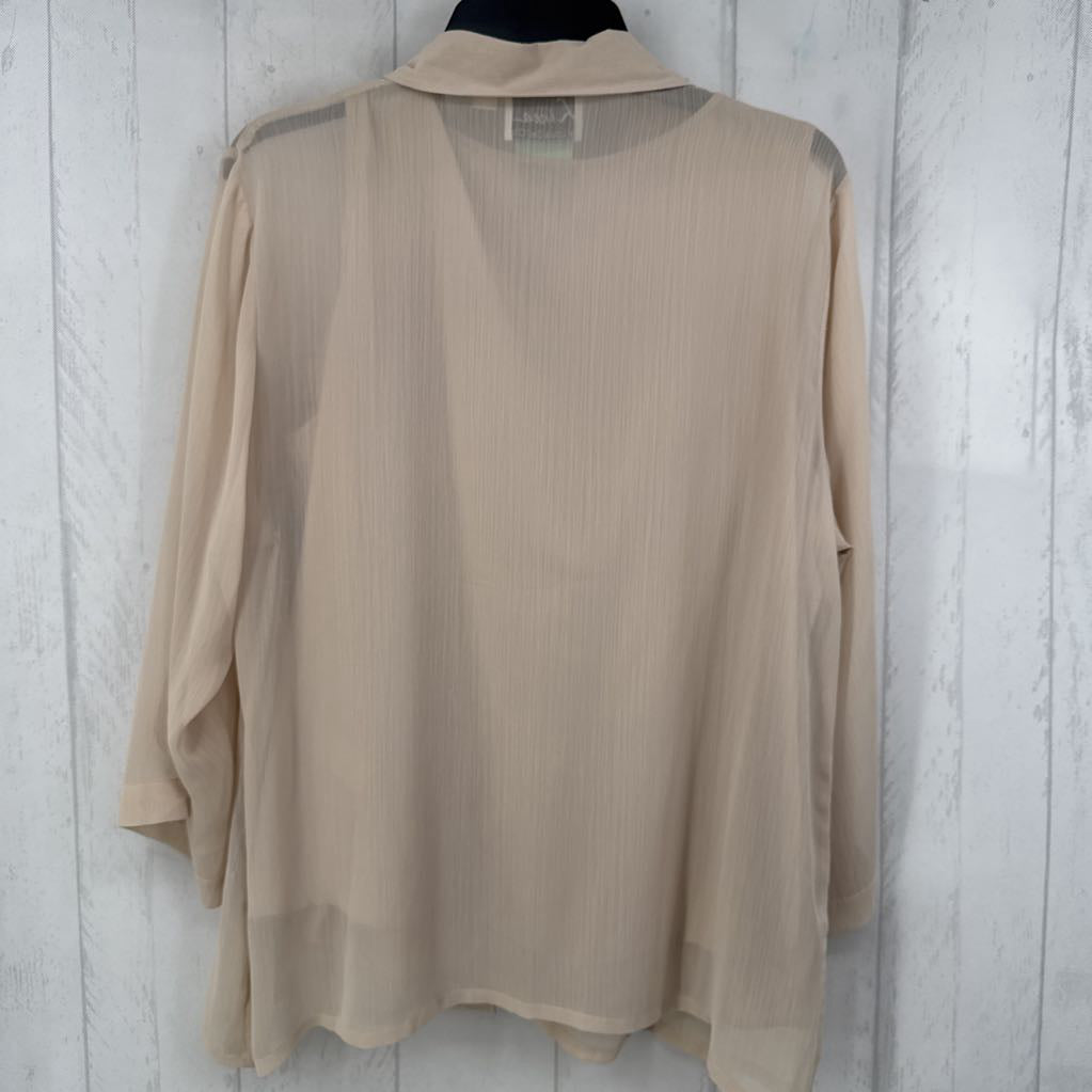 2pc L 3/4 slv sheer button shirt w/ cami