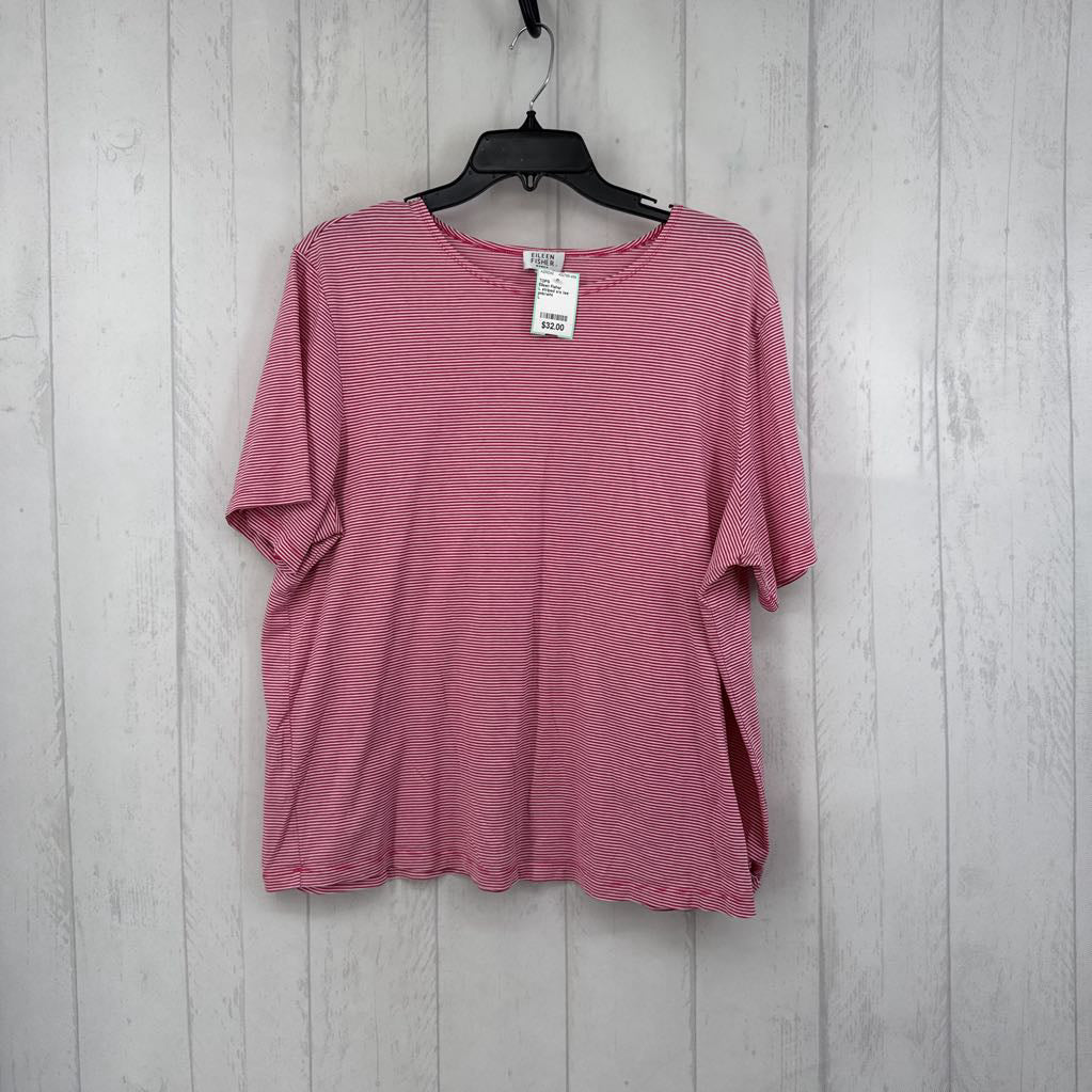 L striped s/s tee