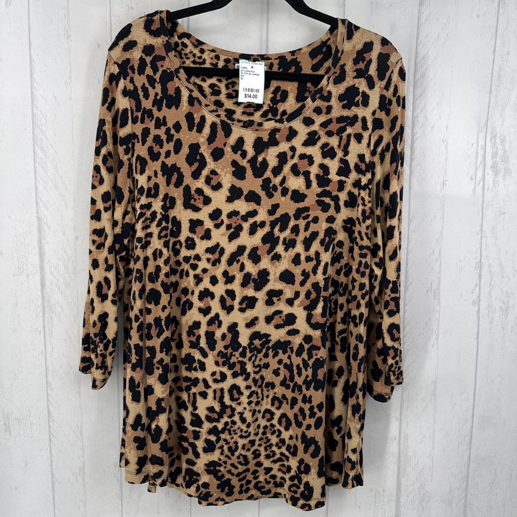 2x 3/4 slv animal print top