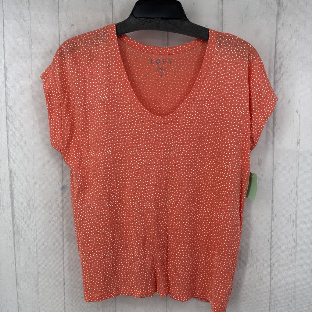 S polka dot scoop neck s/s tee