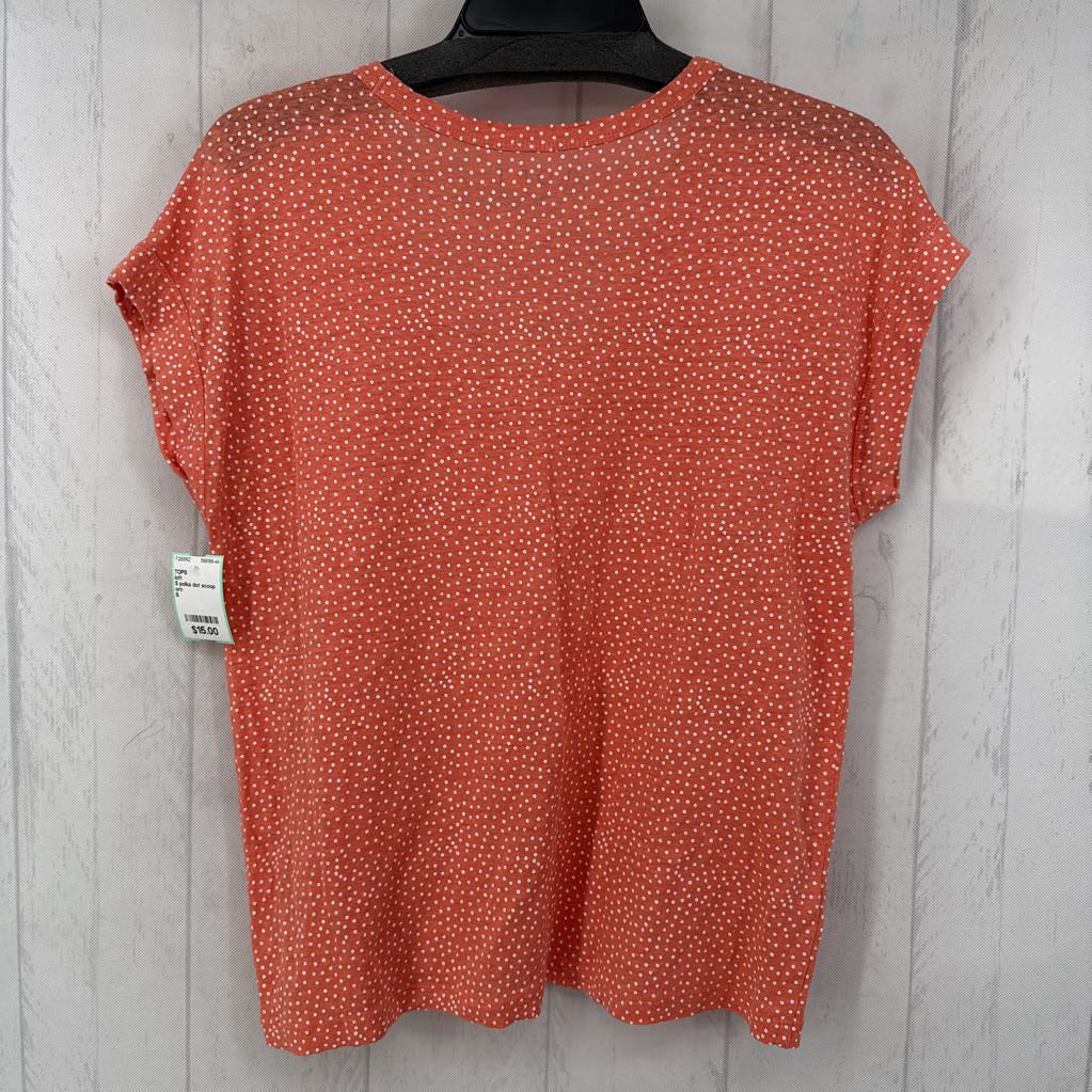 S polka dot scoop neck s/s tee