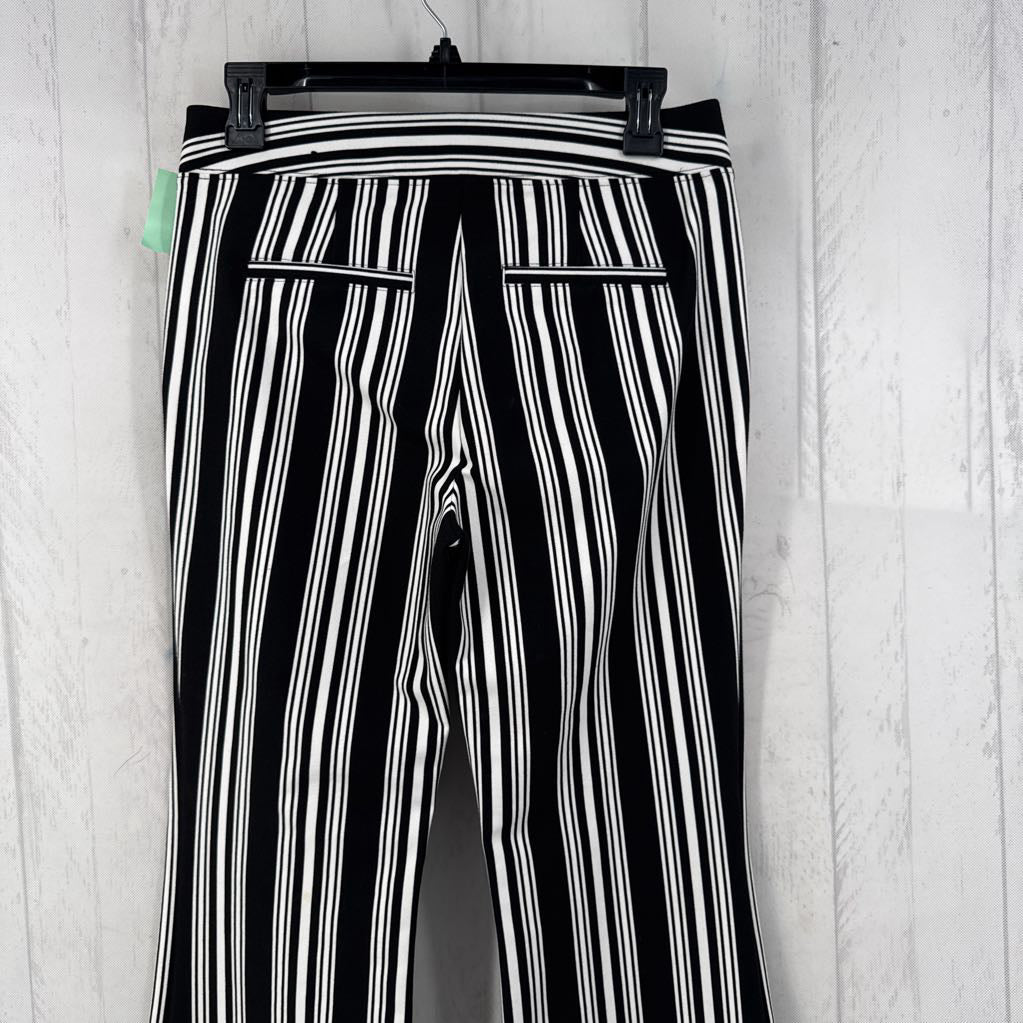 4 striped flare leg pant