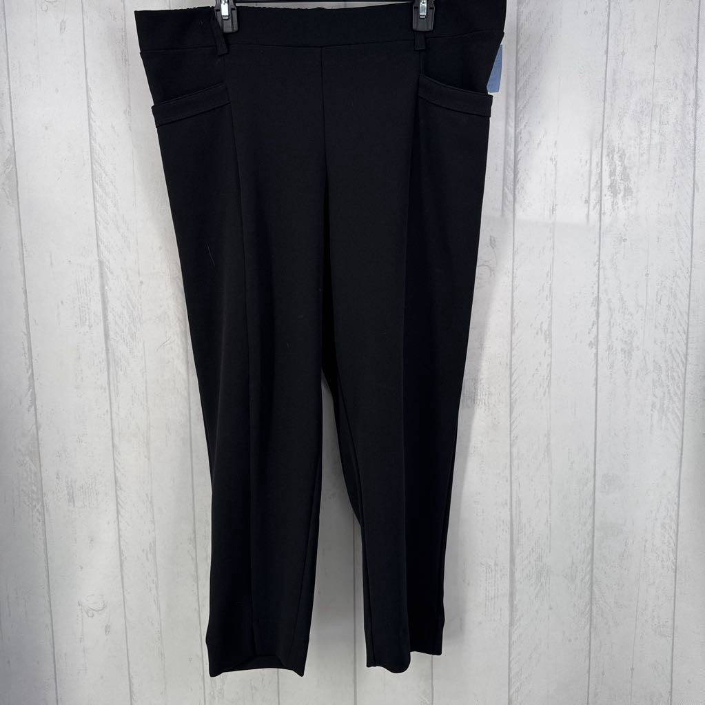 20ws pull-on pant