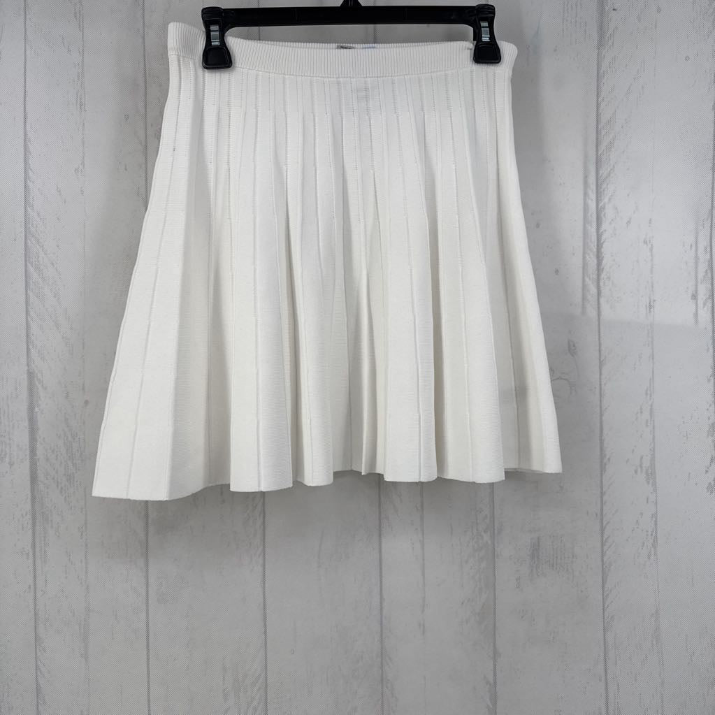 Pleated Elastic Waist Skirt