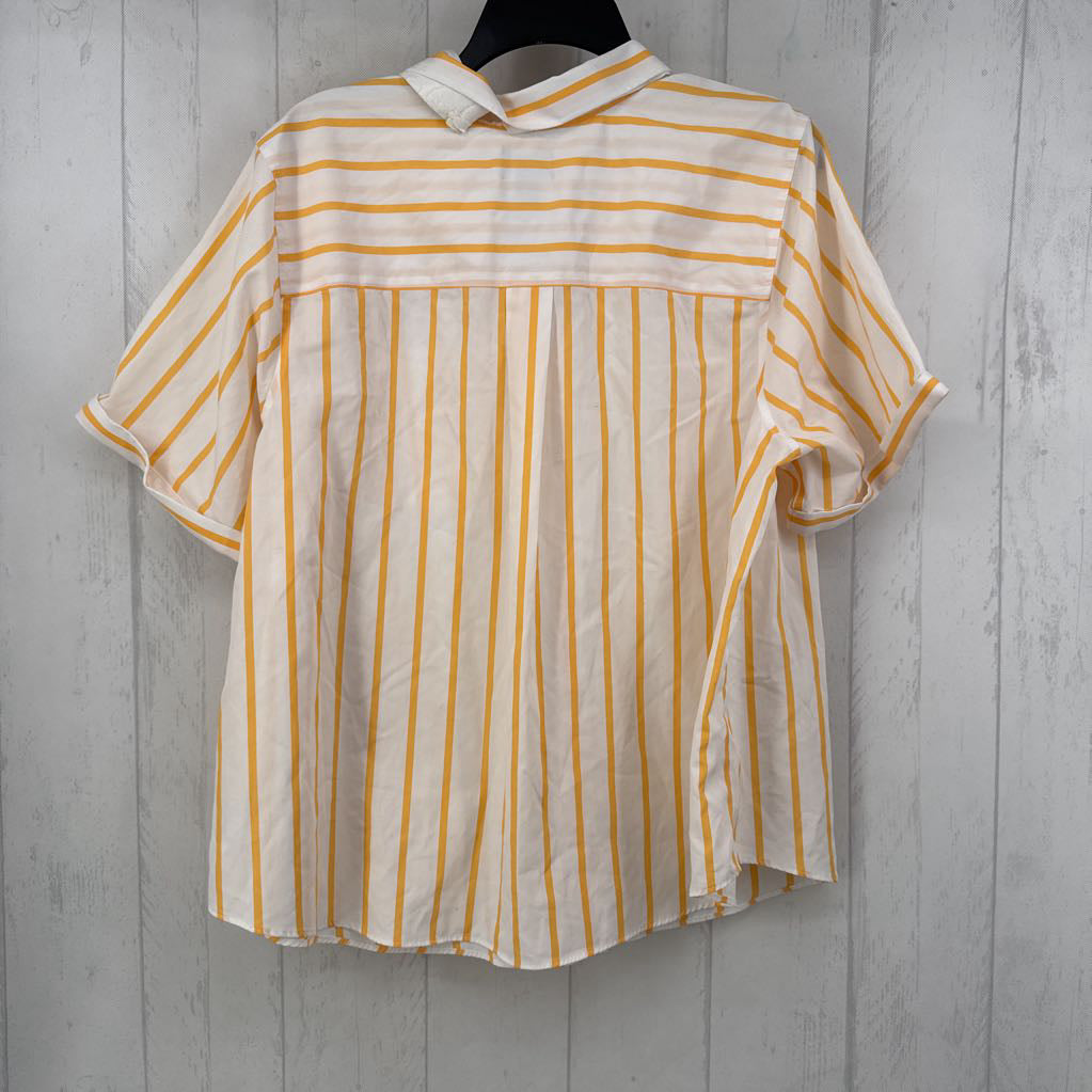 Striped Button Down Front Pocket Shirt