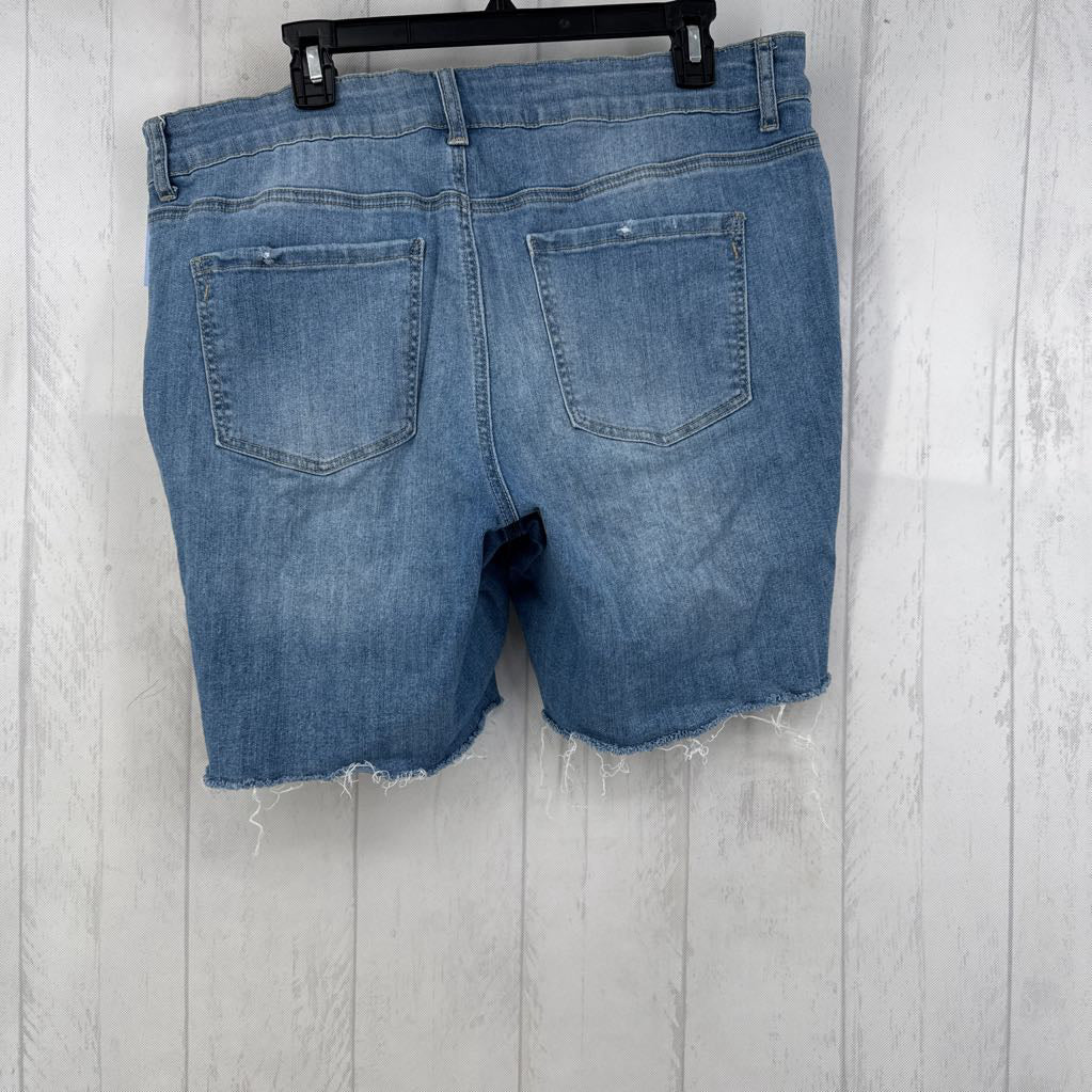 Distressed Denim Shorts
