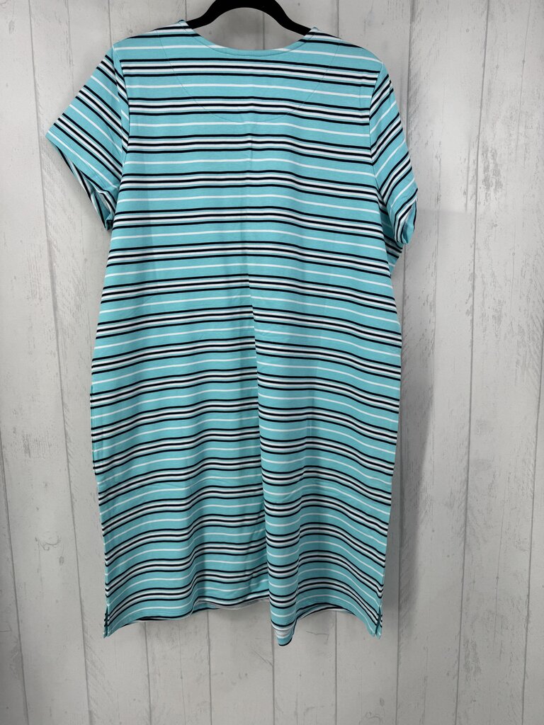 1X striped round neck s/s dress