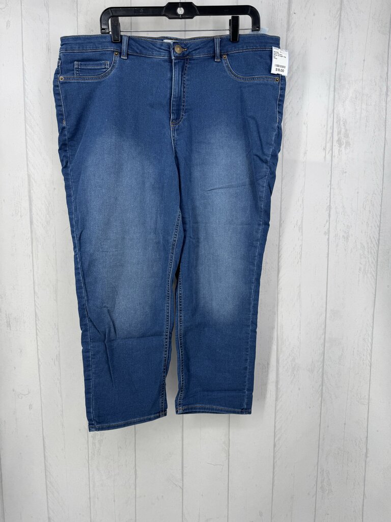 18wp straight leg jean