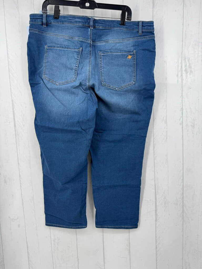 18wp straight leg jean