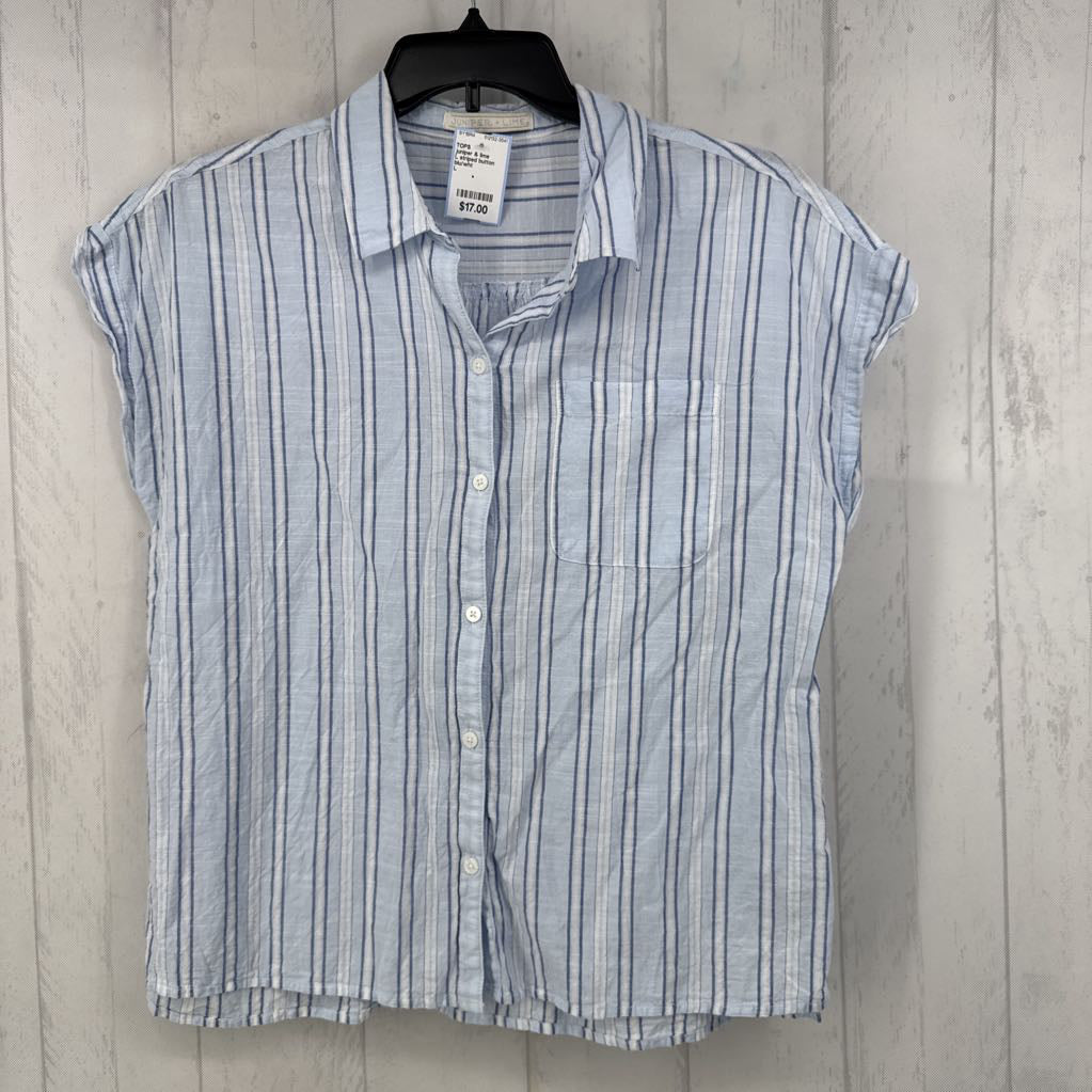 L striped button down cap slv top