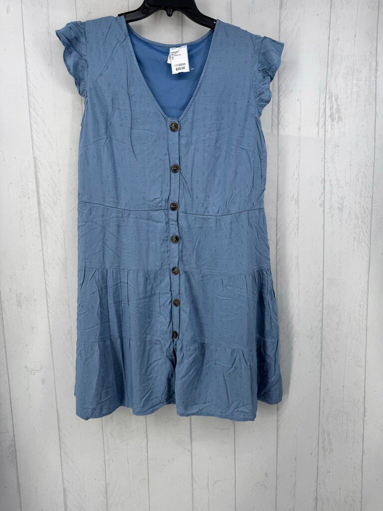 1X swiss dot button front tiered s/s dress