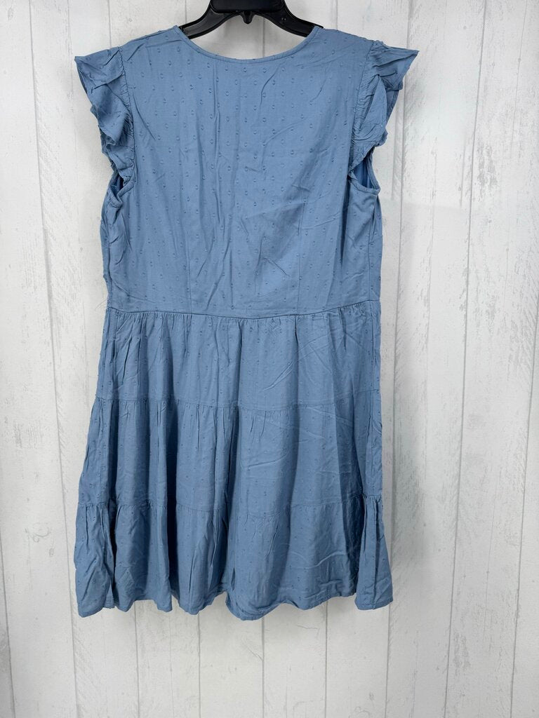 1X swiss dot button front tiered s/s dress