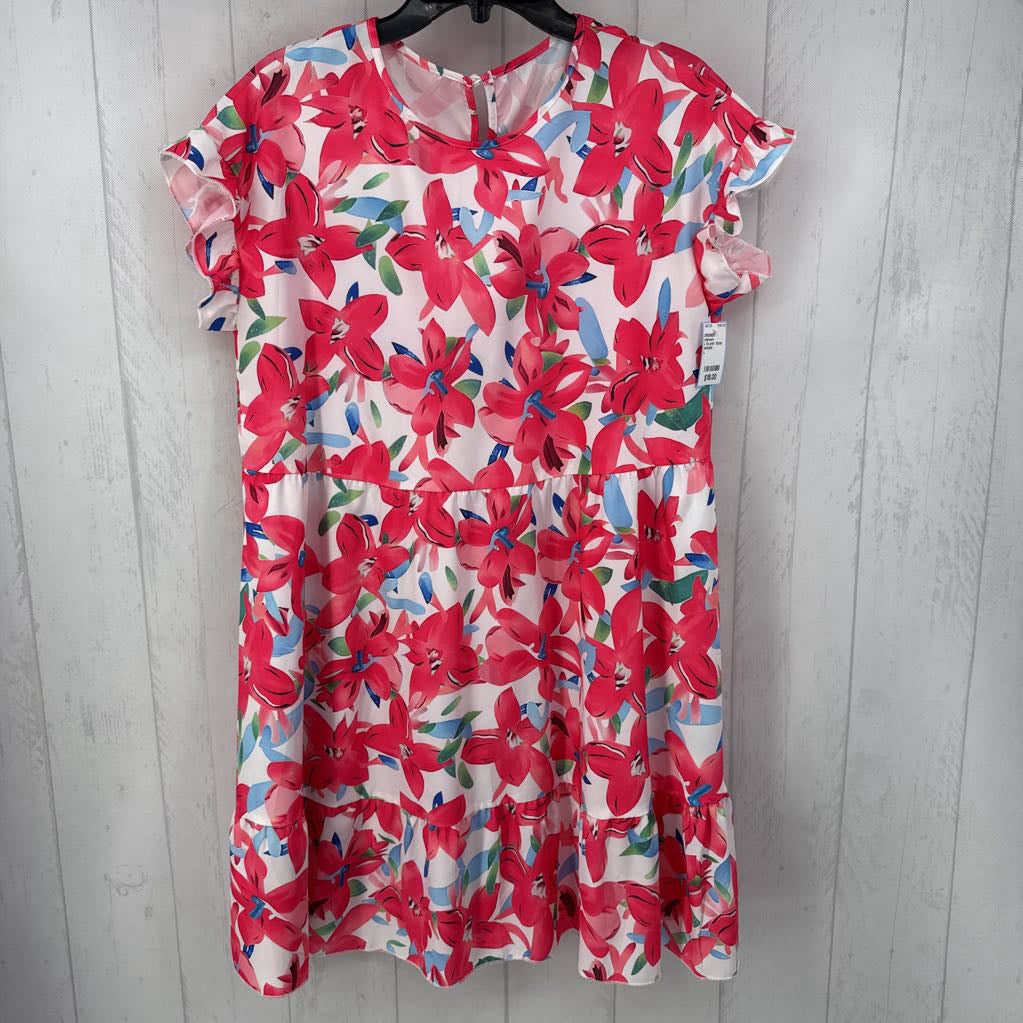 L flo print flutter slv dress