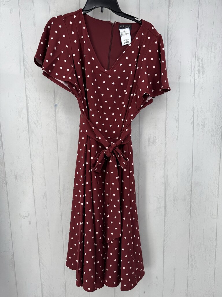 16 polka dot v-neck belted s/s dress