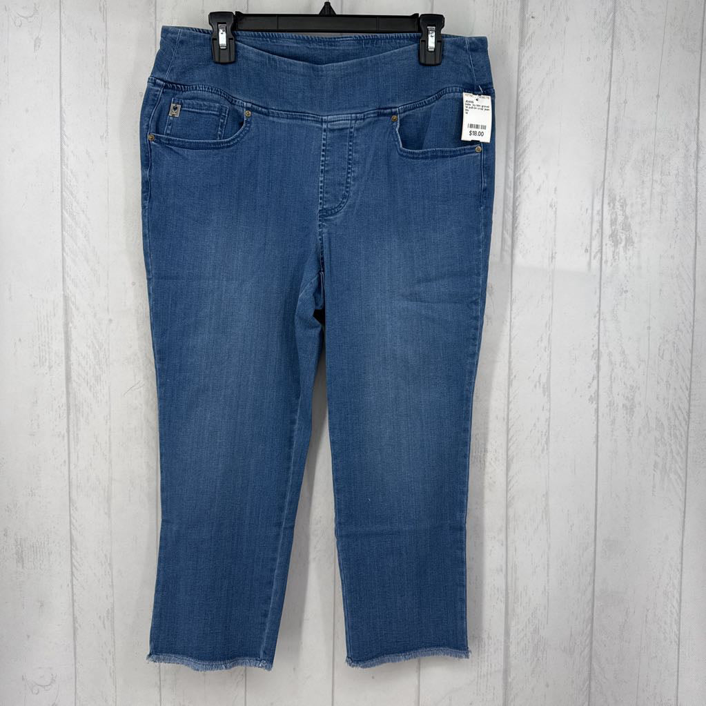14 pull-on crop jean