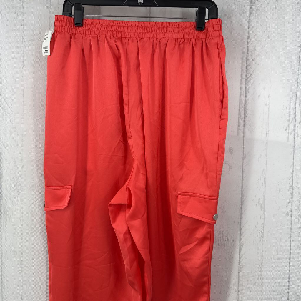 Satiny Elastic Waist Cargo Pants