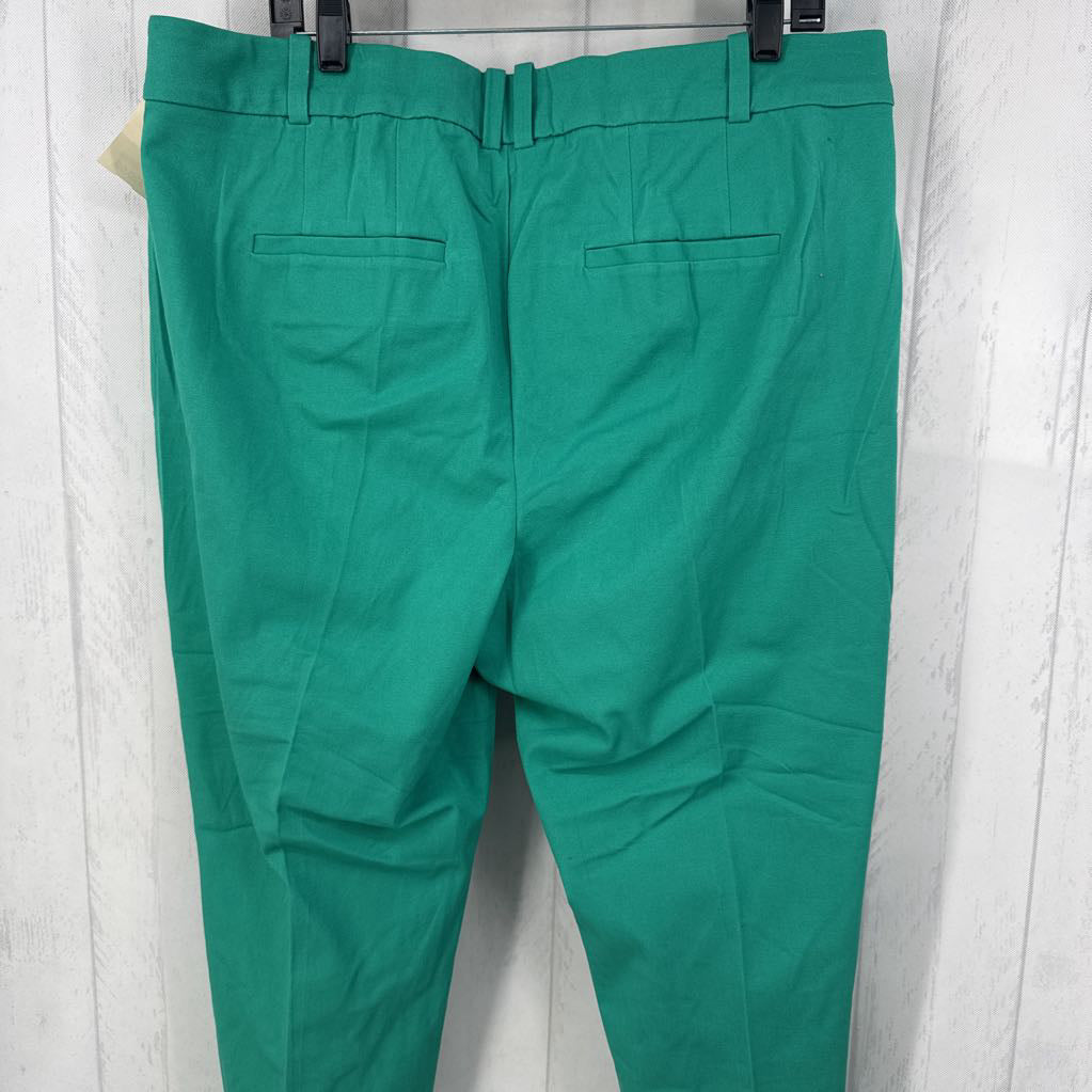 18 skinny crop pant