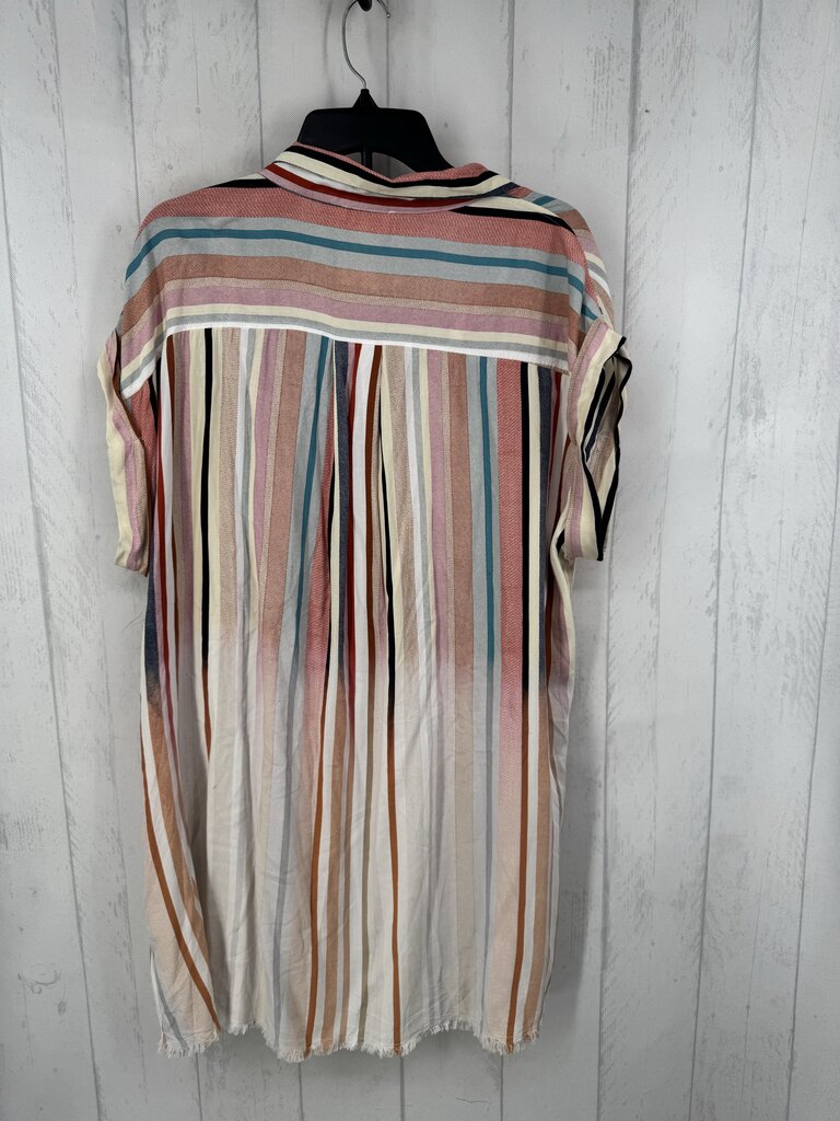 XL striped button down s/s dress
