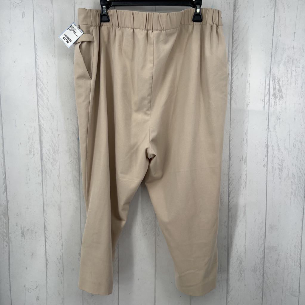 1X crop ankle pant