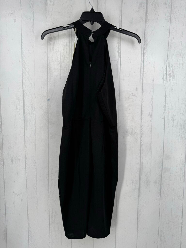 XL slvls high neck dress