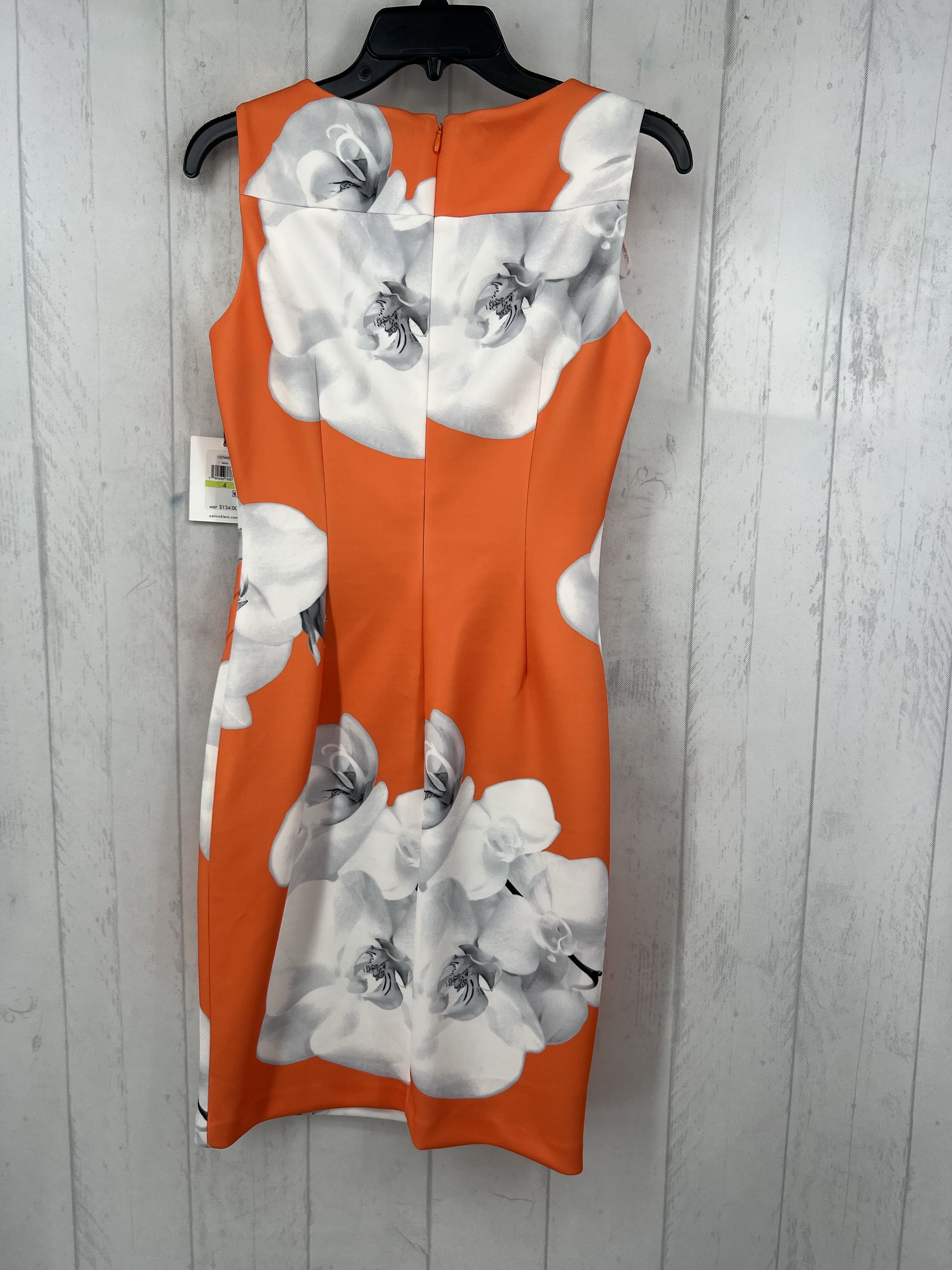 R134 4 flo print pleated slvls dress