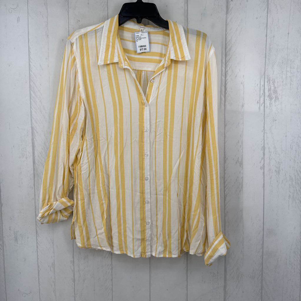 XL striped button down l/s top
