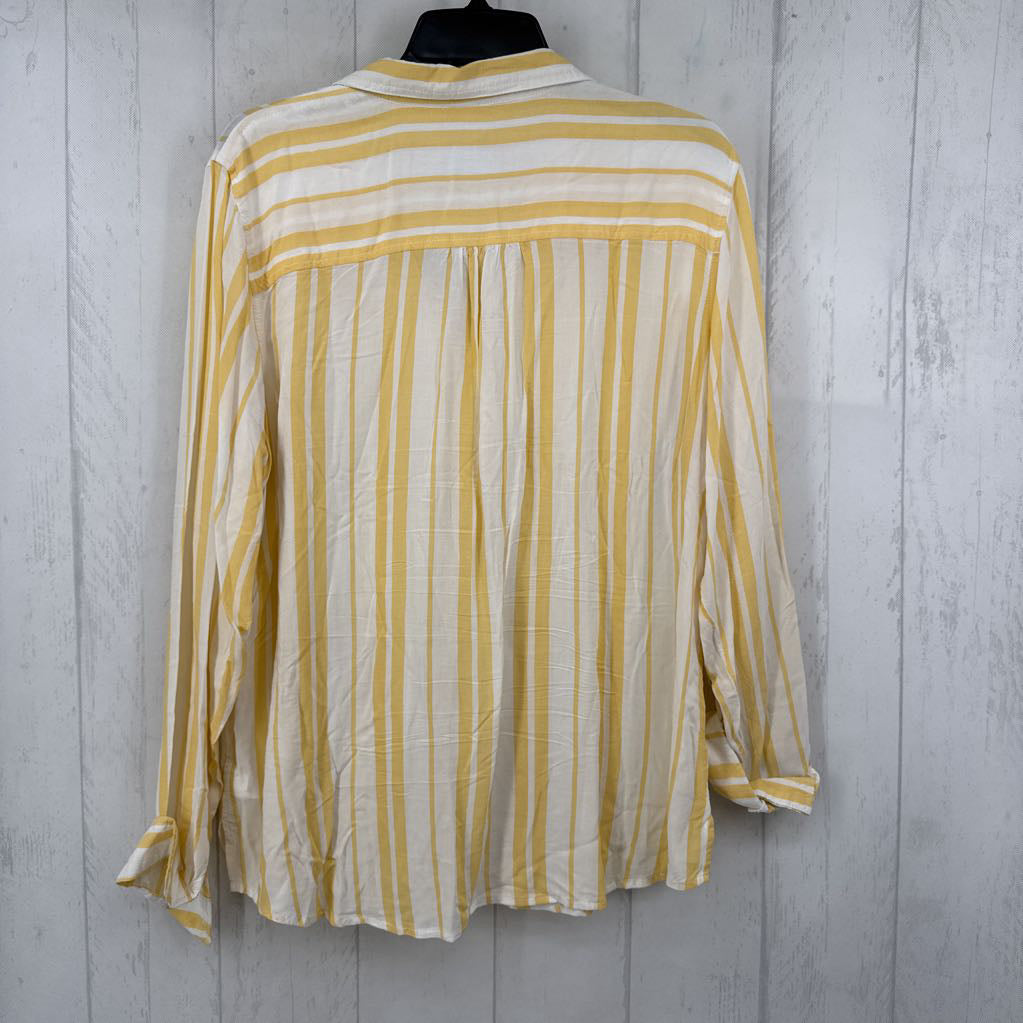 XL striped button down l/s top