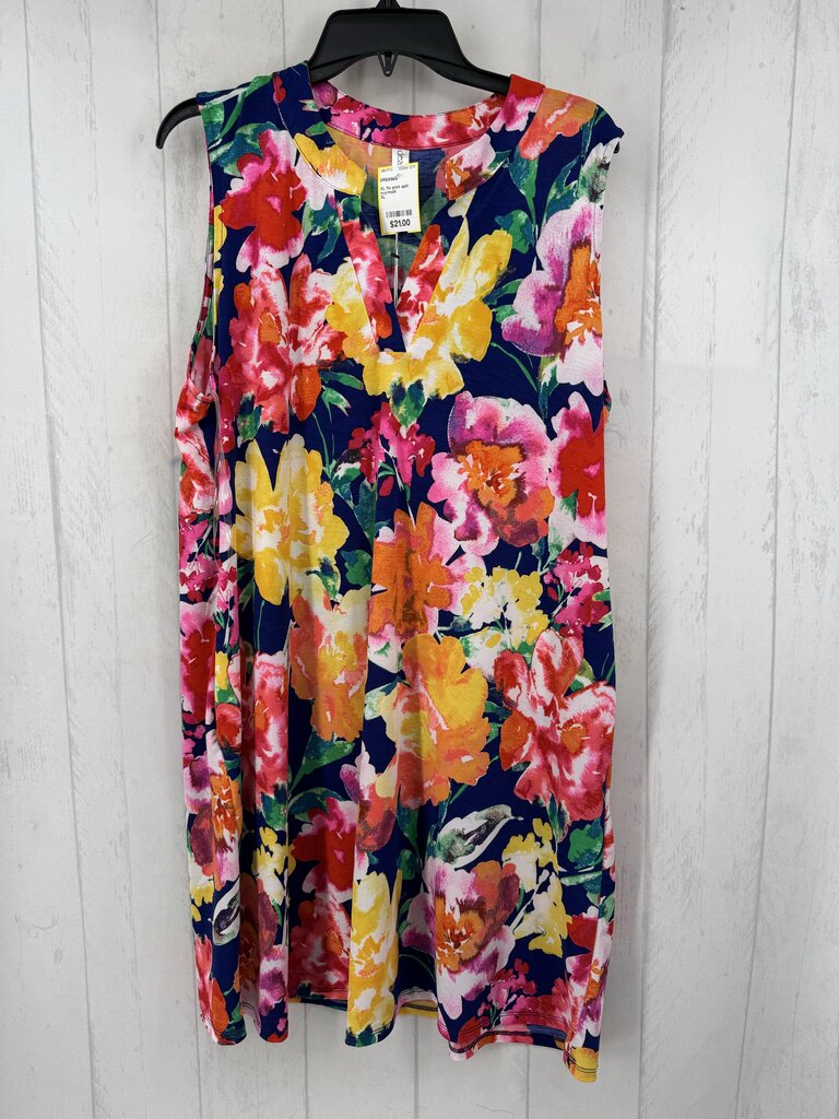 XL flo print split neck slvls dress