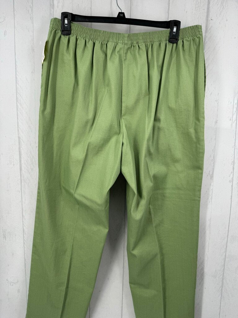 18 pull-on pant