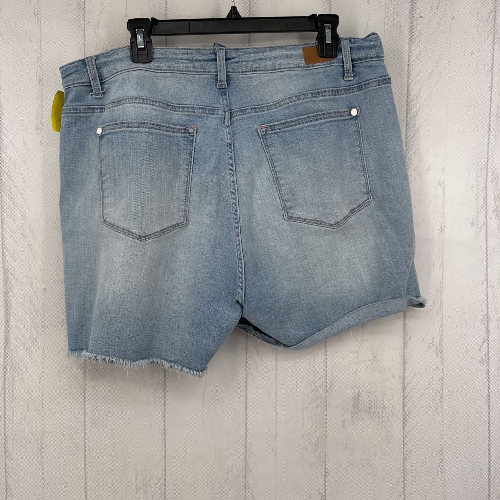 2xl frayed shorts