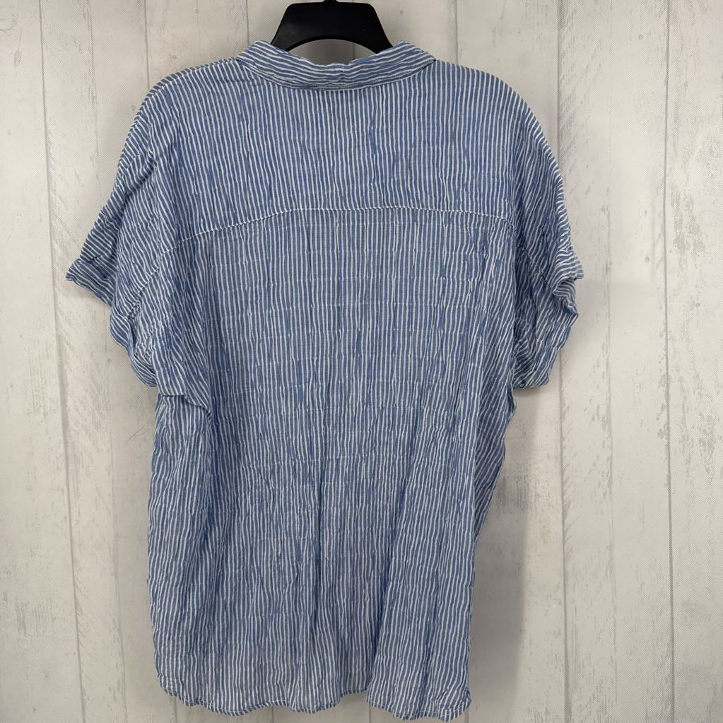 XL s/s pin-stripe button shirt