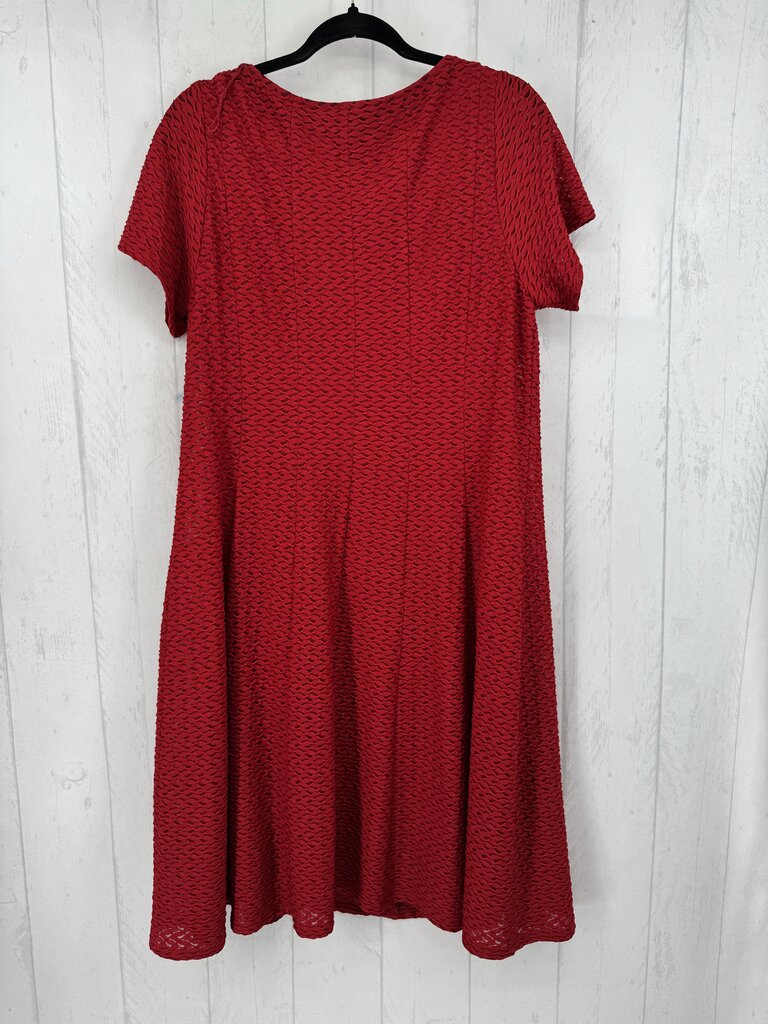 1X textured s/s dress