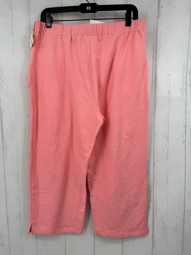 M butterfly embroidered pull-on capri