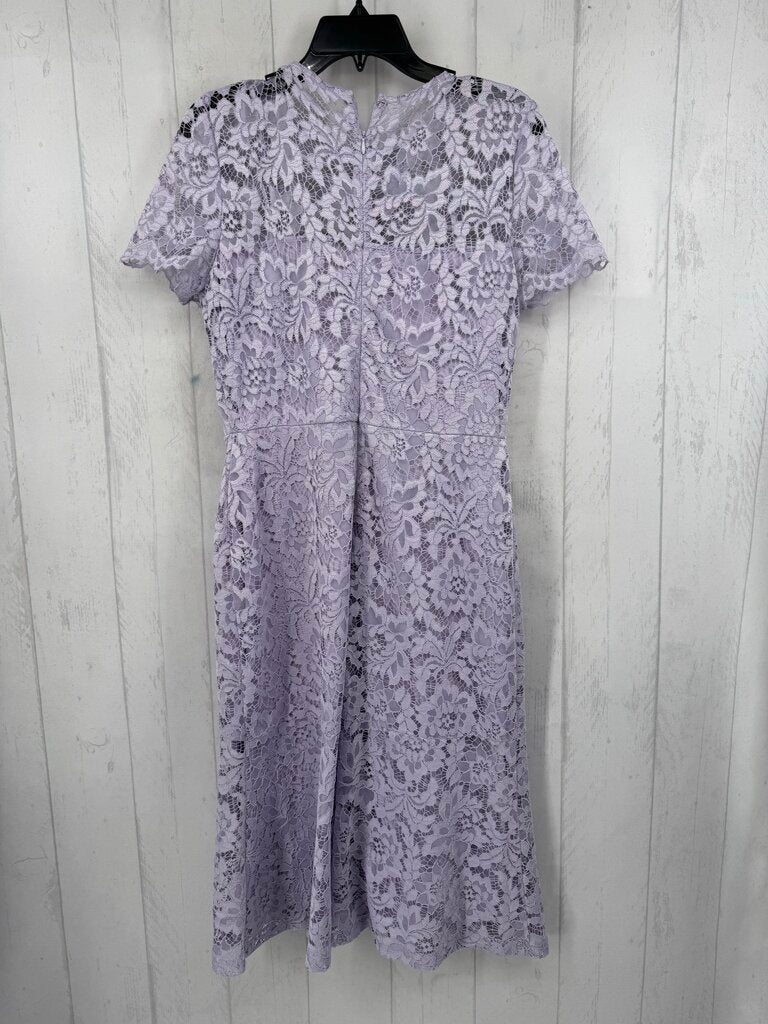 8 lined lace sheathdress s/s