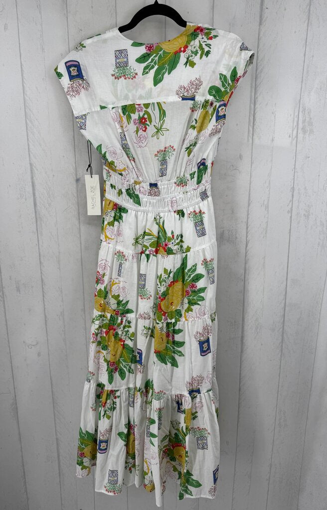 XS flo print v-neck slvls maxi dress