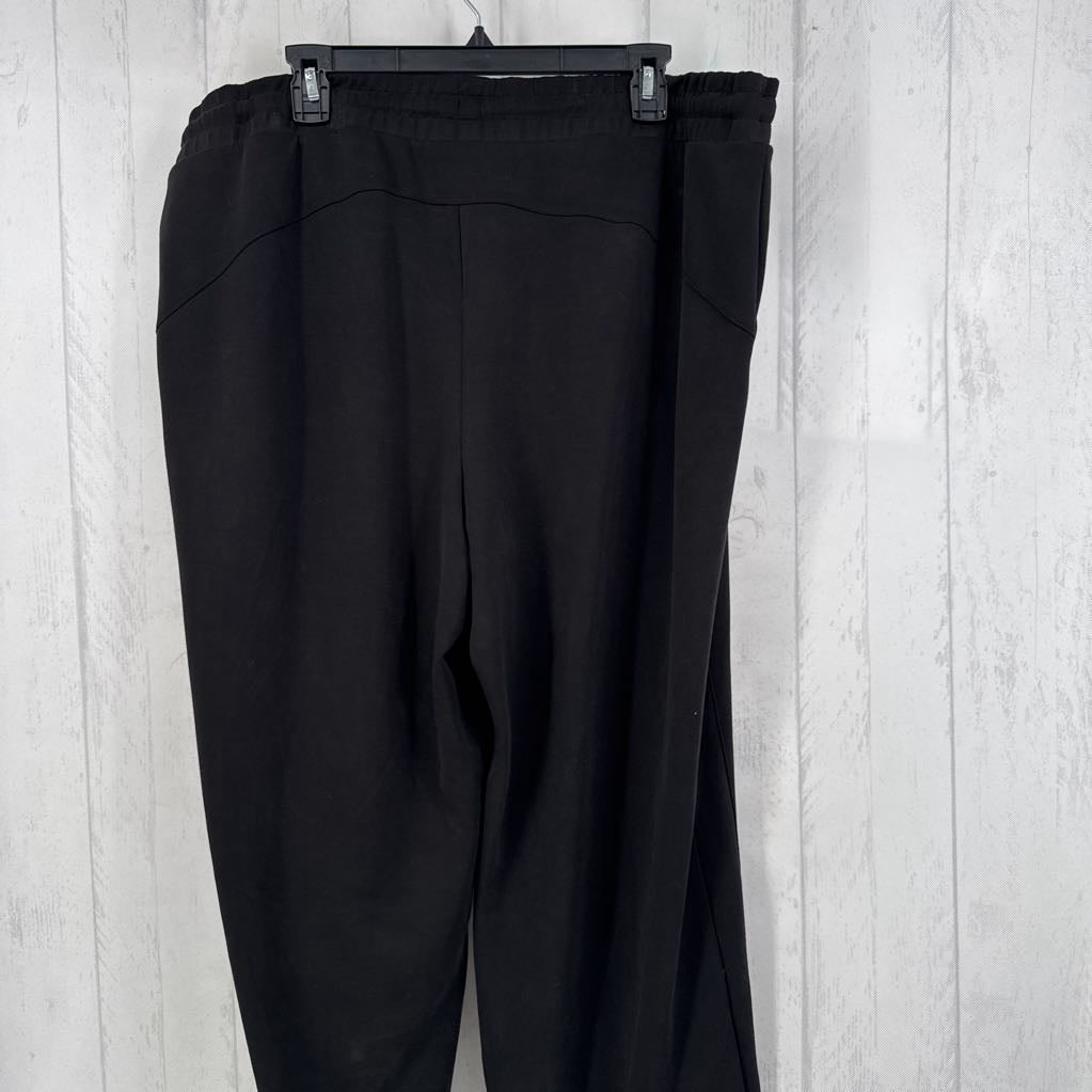 2X wide leg pant