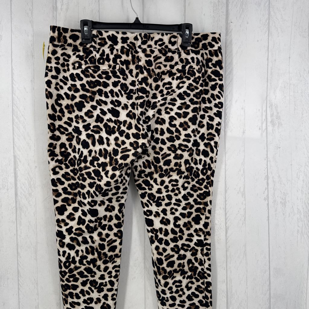 16 animal print capris