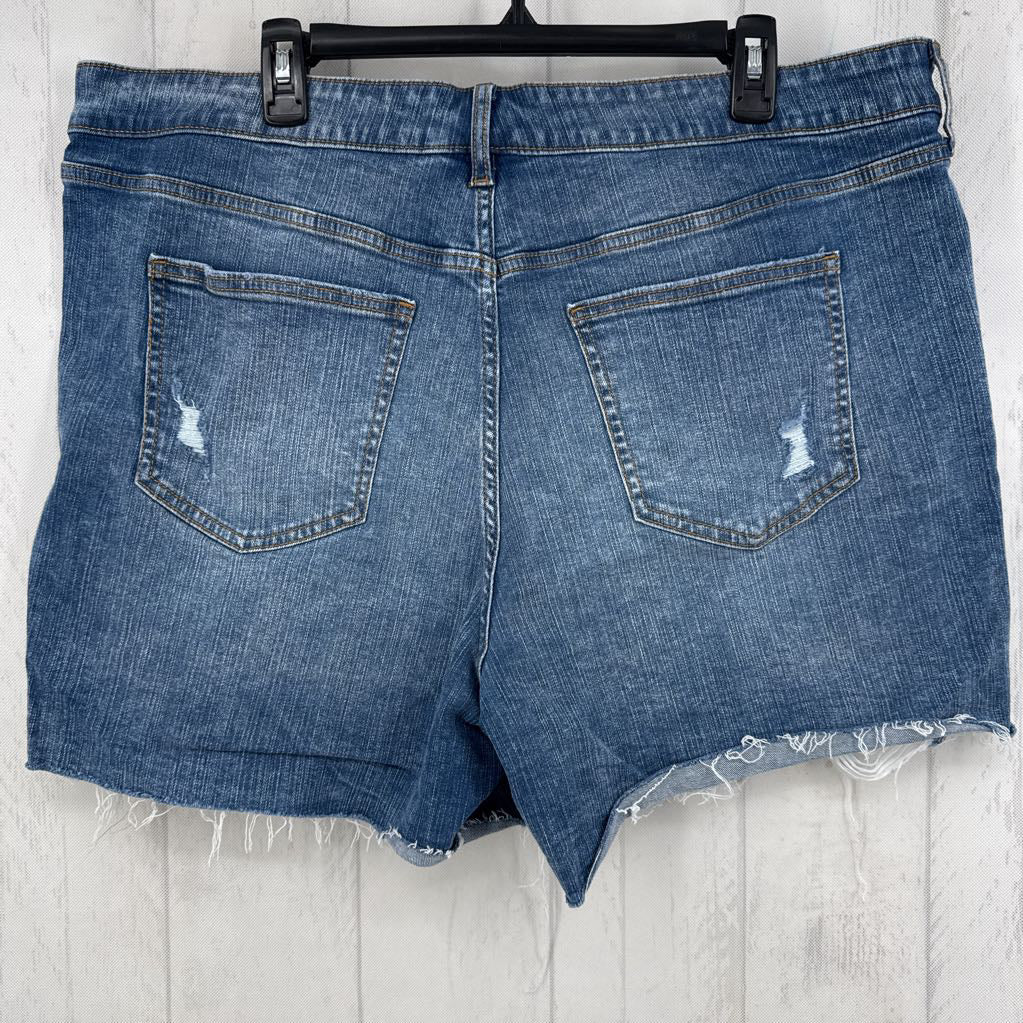 20 hi-rise jean short