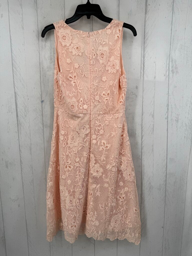 M v-neck lace slvls dress