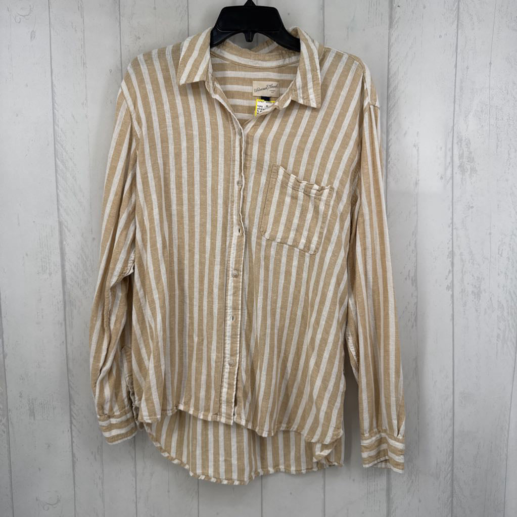 XL striped button down l/s top