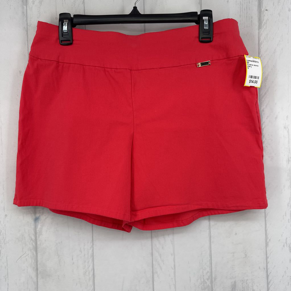 12 pull-on shorts