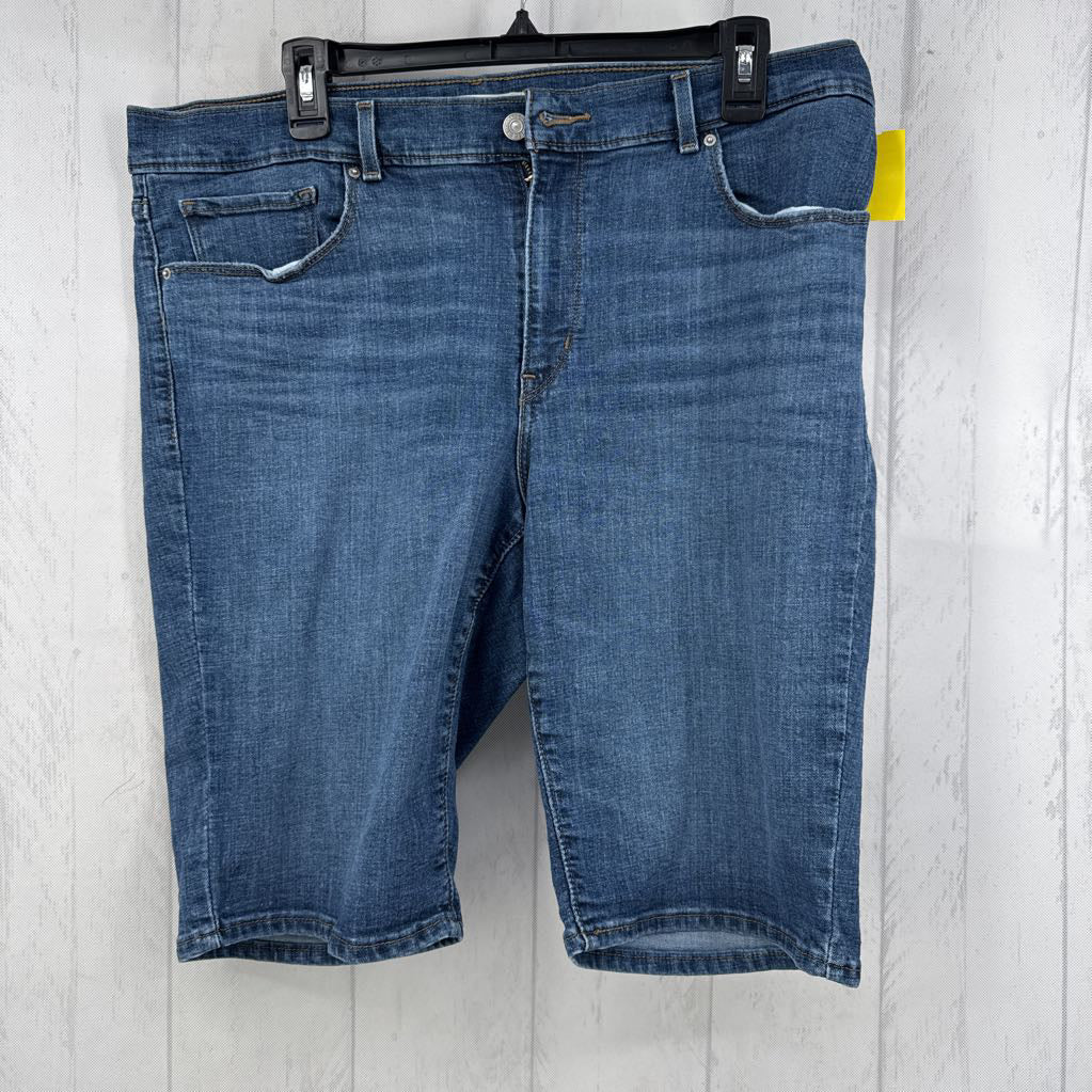 33 bermuda shorts