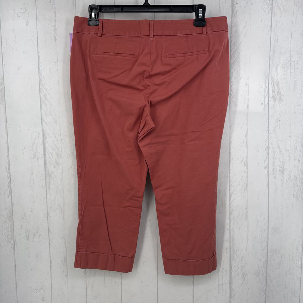 14p cropped chino