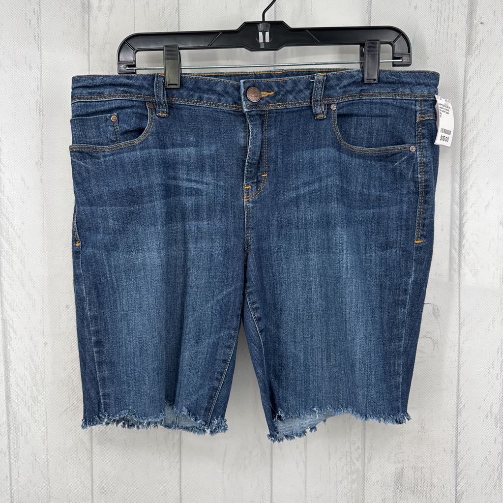 12 cutoff jean shorts
