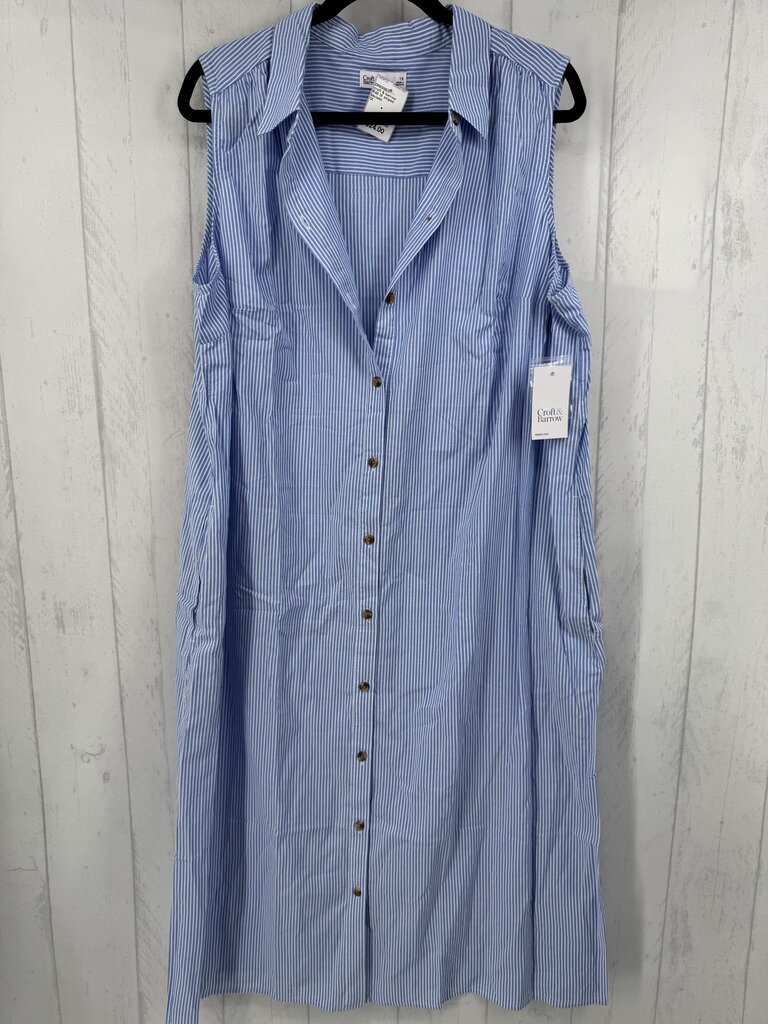 R40 1X striped button down slvls dress