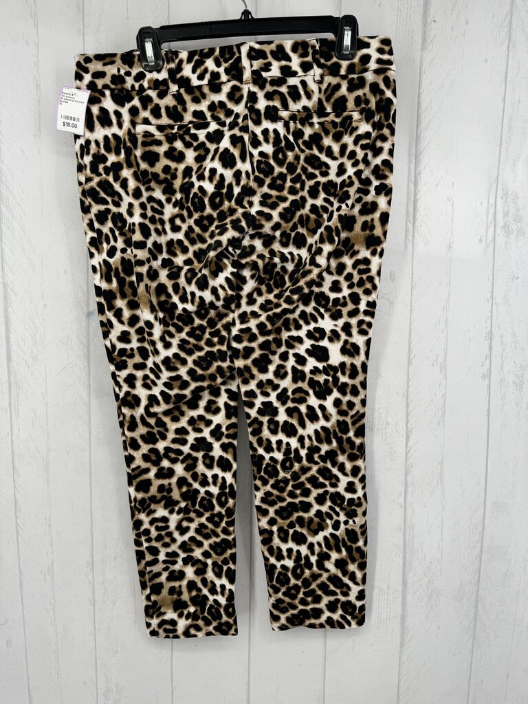 10 animal print pant