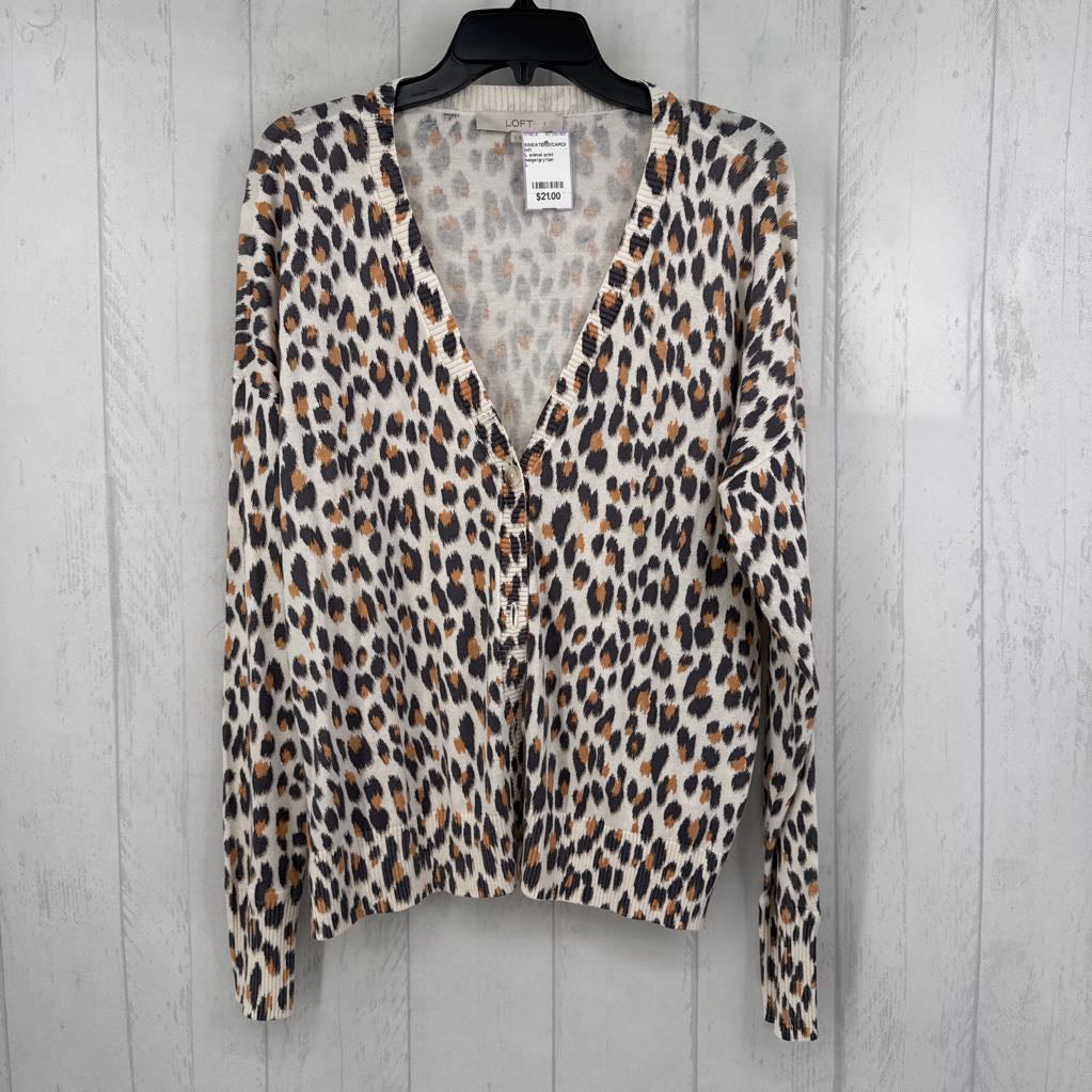 L animal print button down cardi